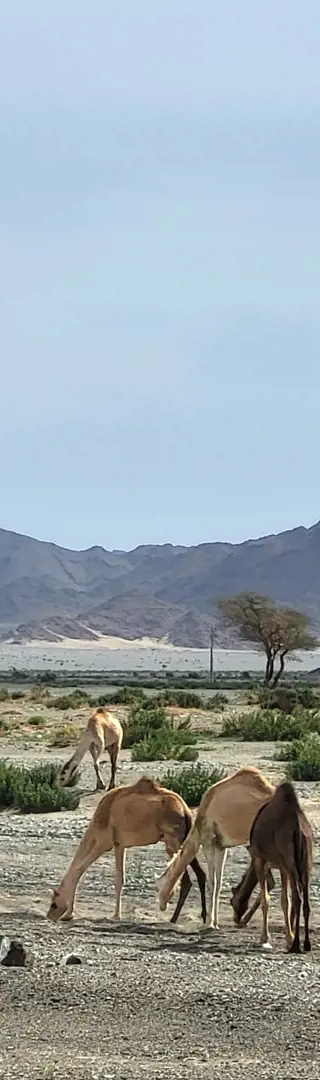 Es geht los Richtung Norden